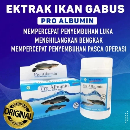Albumin Fit Kapsul Ekstrak Ikan Gabus Obat Penyembuhan Pasca Operasi Isi 60 Kapsul Ori