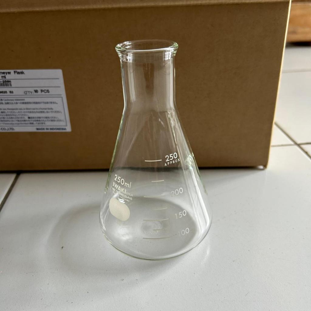 IWAKI Erlenmeyer Flask 250ml