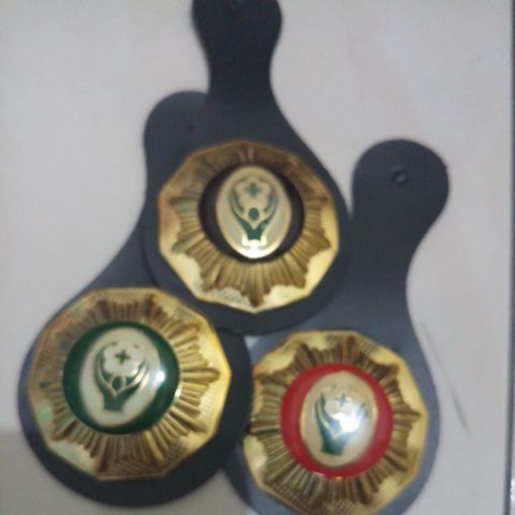 tanjab mabi saka bakti husada