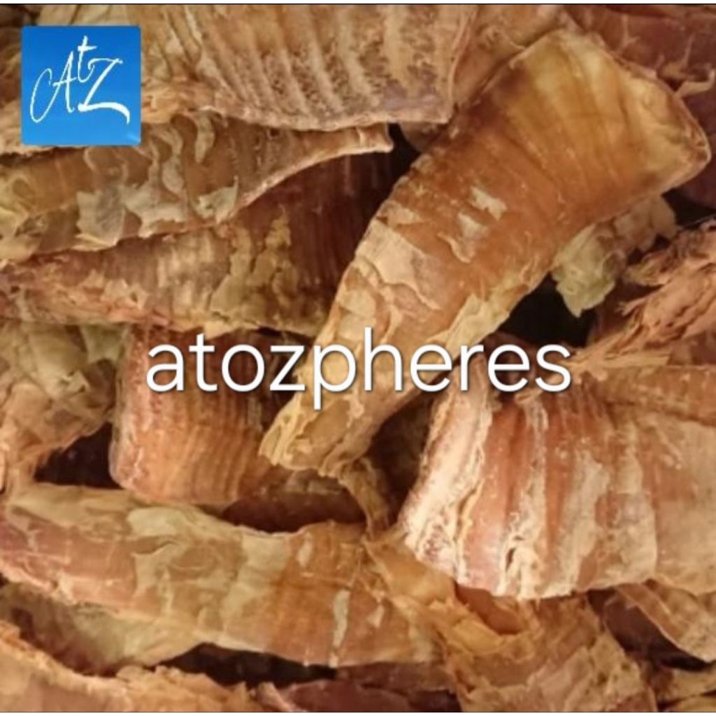 Sayur rebung bambu muda kering dry bamboo shoot 500g 1kg