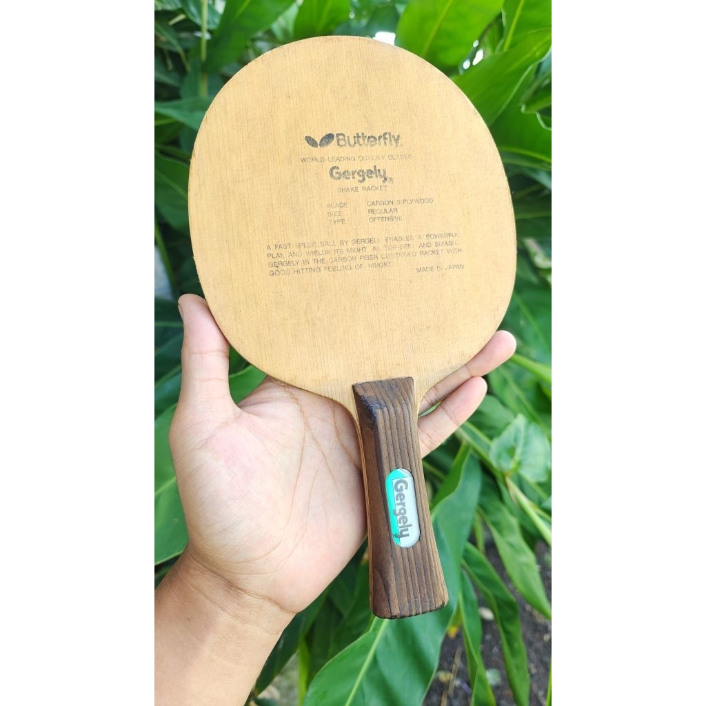 Butterfly Gergely Oldtag