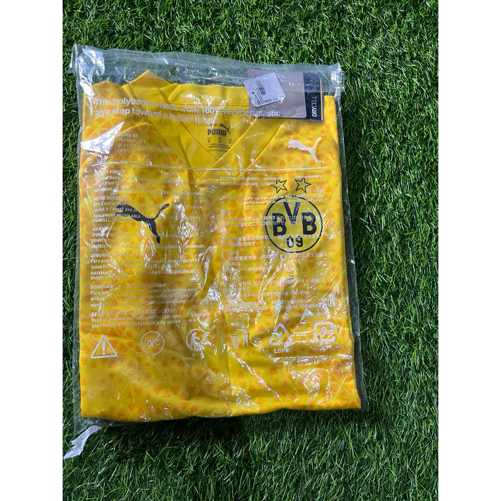Jersey Borussi Dortmund training original