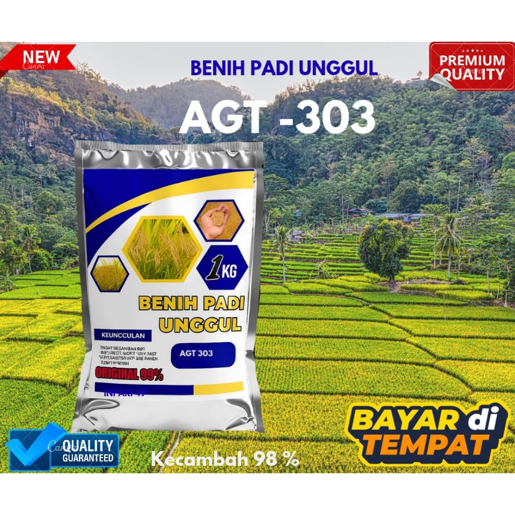 BENIH PADI AGT 303 bibit unggul berkualitas premium 1KG rasa nasi pulen