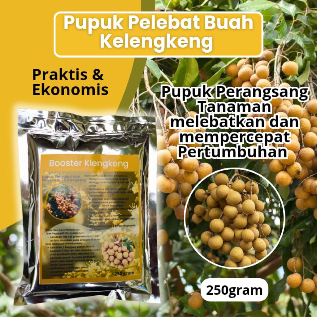 boster klengkeng