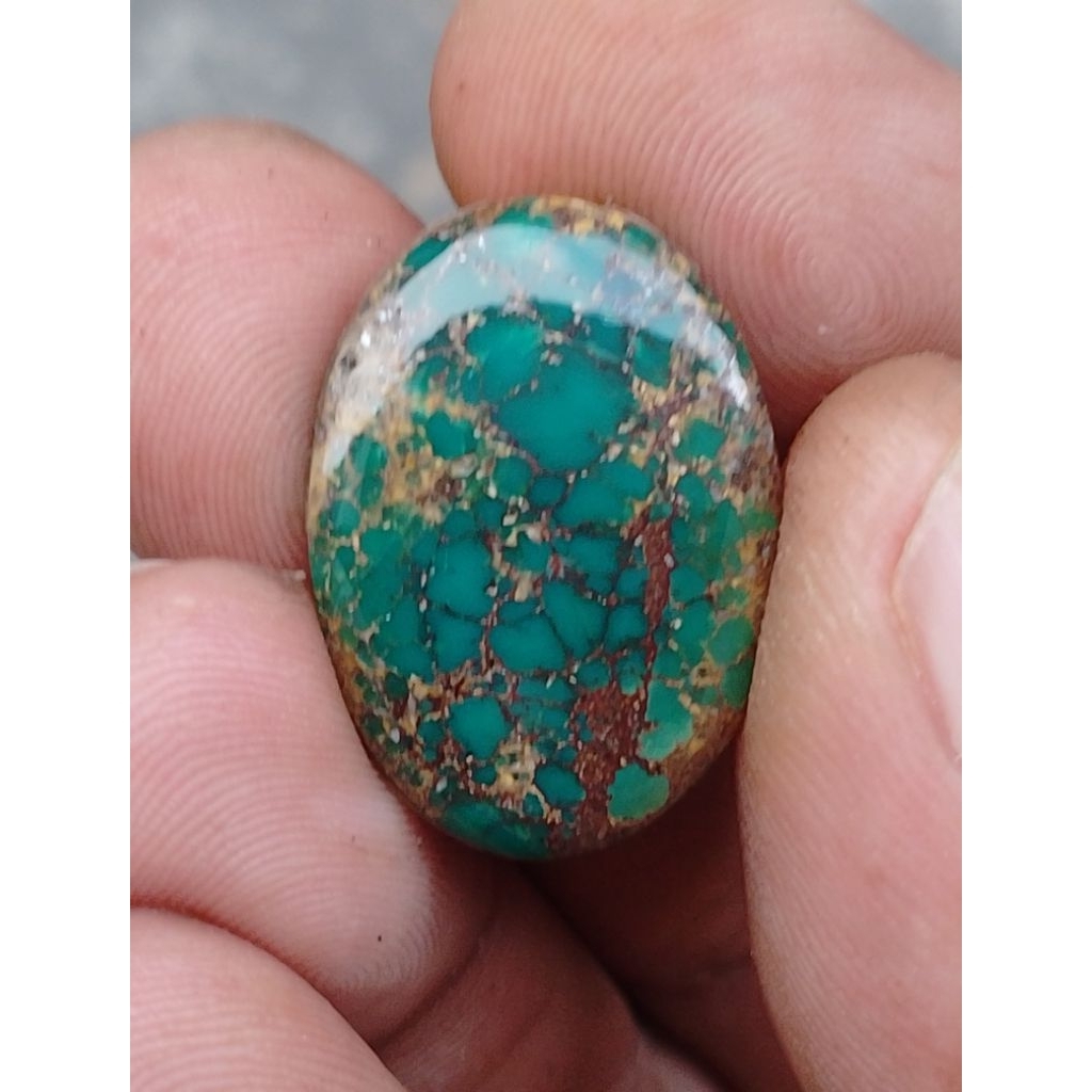 PIRUS PERSIA LAWASAN HIJAU URAT MAS