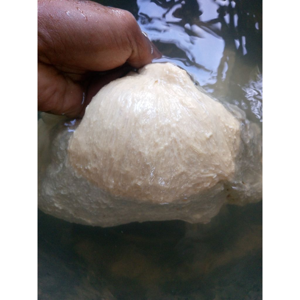pulut burung 1/2kg /500gram