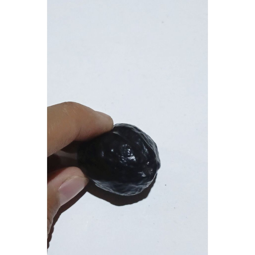 MUNCANG ADU 4G siap pakai