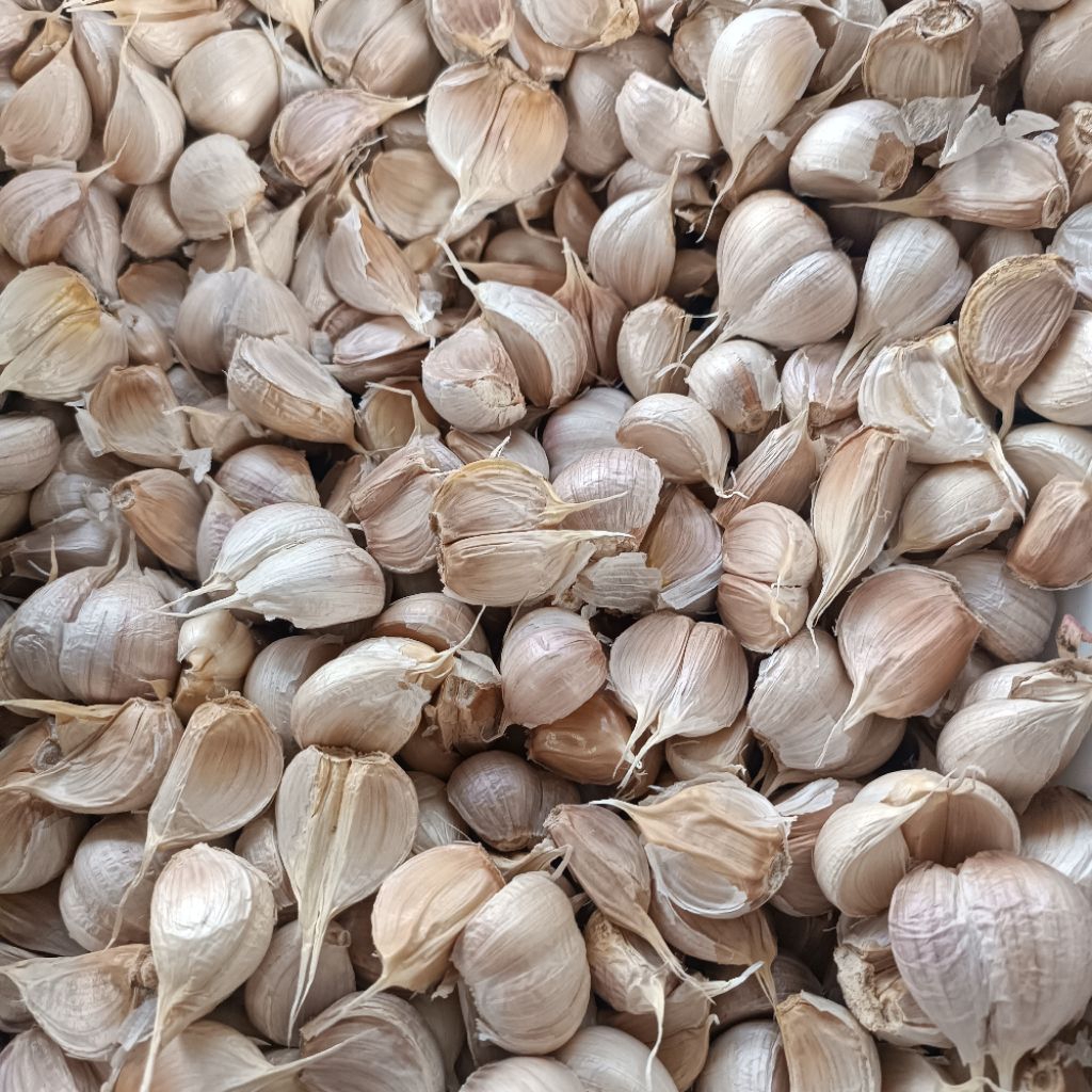 Bawang Putih Kating 1kg