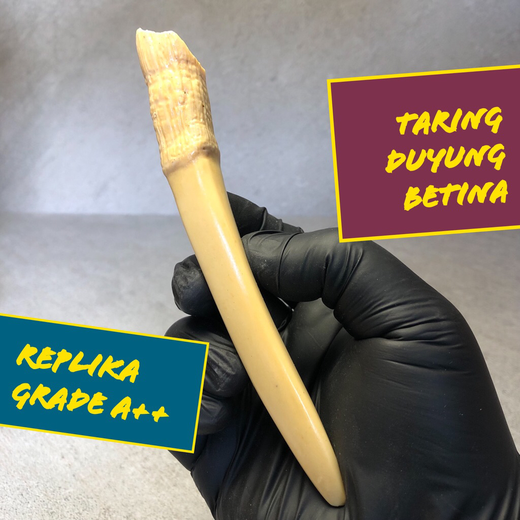 Pipa Rokok Model Taring Betina Replika Super