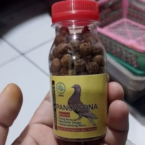 Jamu Untuk Merpati Giring Keras