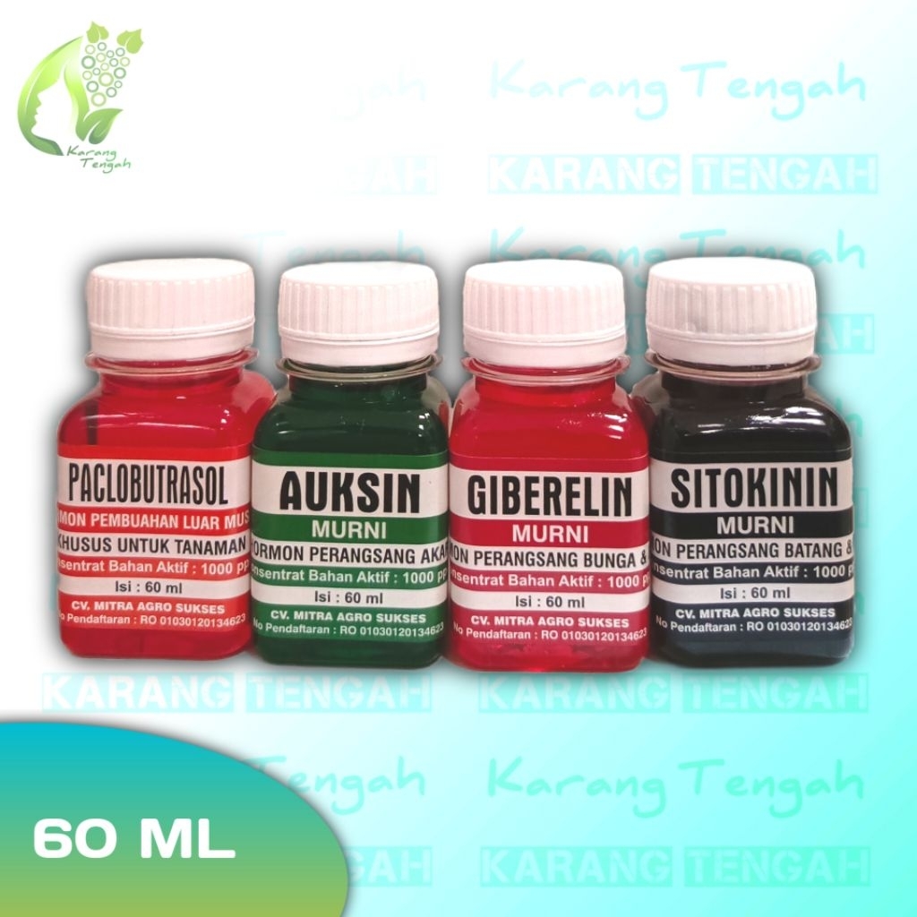 Hormon Paclobutrazol, Auksin, Giberelin, Sitokinin