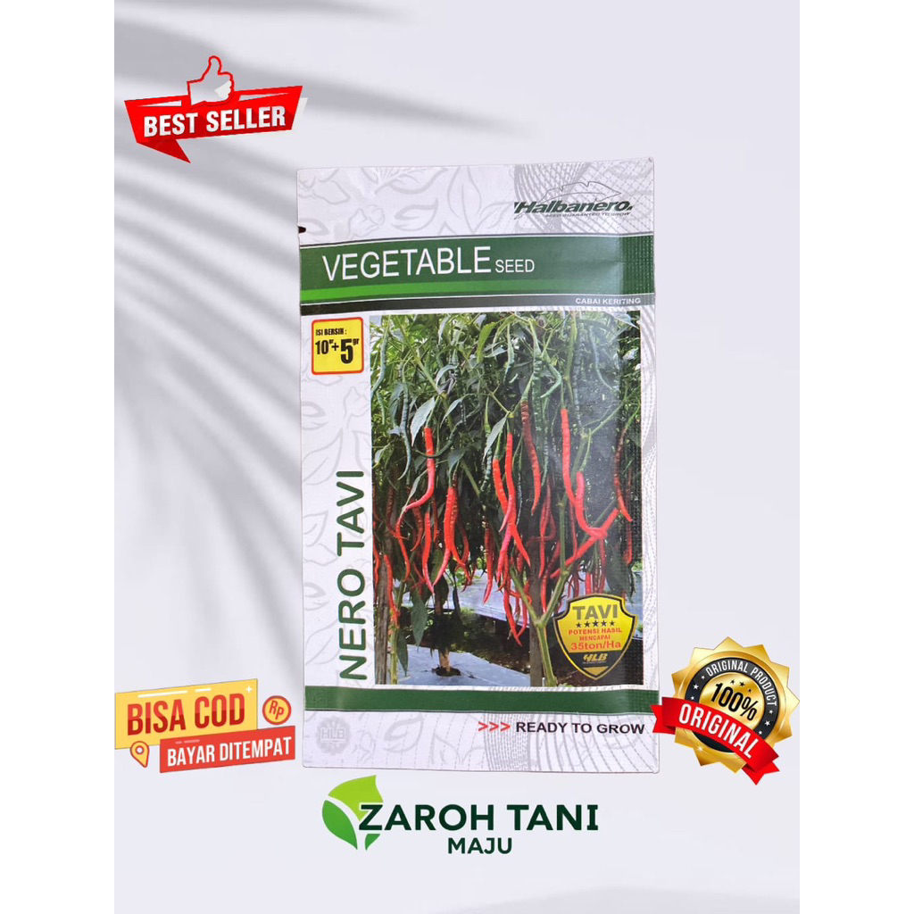 Cabe keriting NERO TAVI