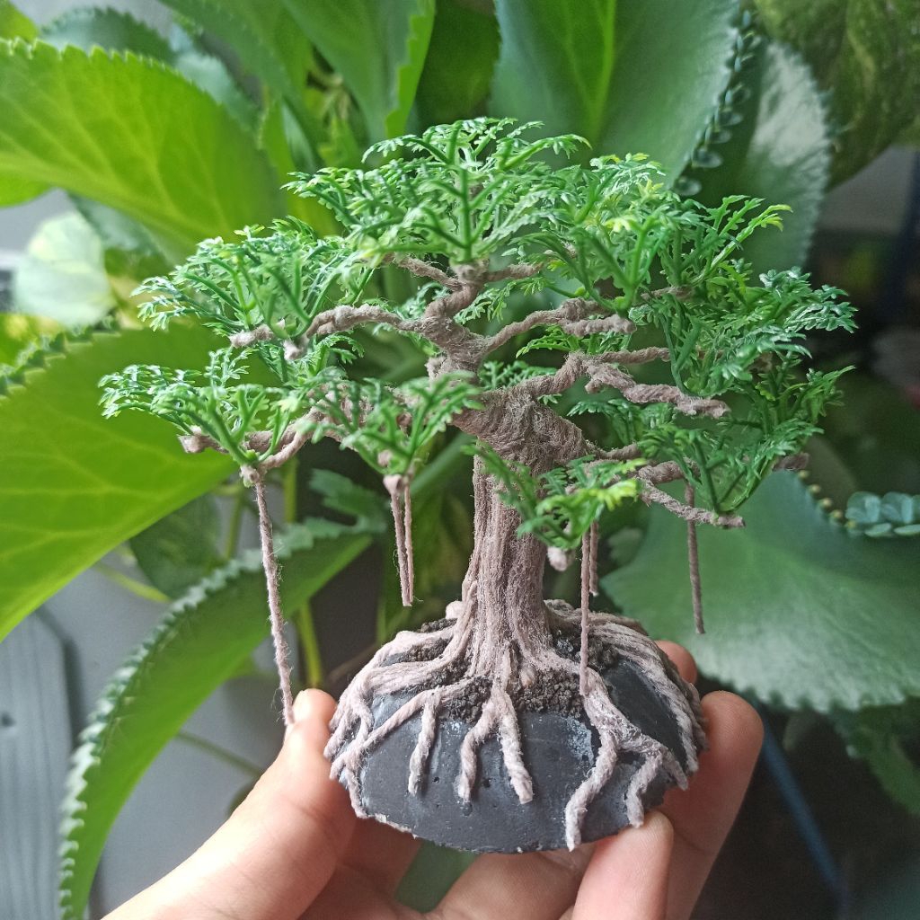 bonsai mini beringin akar juntai  bonsai aquascape bonsai hias repllika