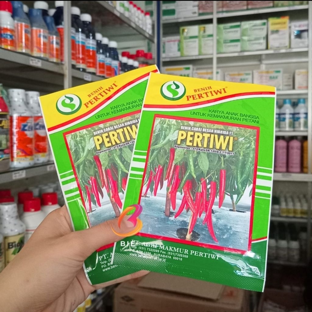 BENIH CABAI BESAR PERTIWI /Benih Cabai Besar Hibrida F1