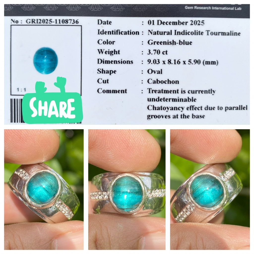 Natural 3.70ct cat eye indicolite tourmaline memo gri