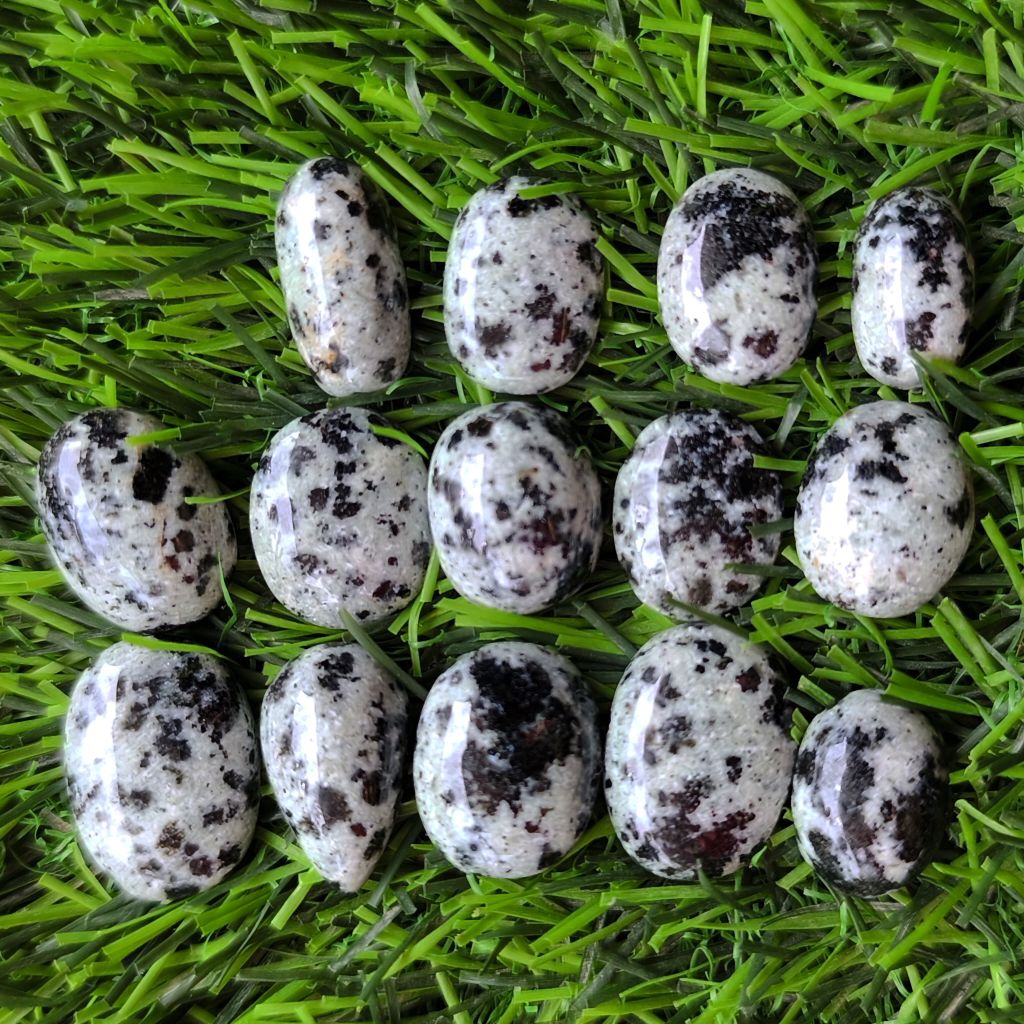 Badar Besi Totol Kebumen