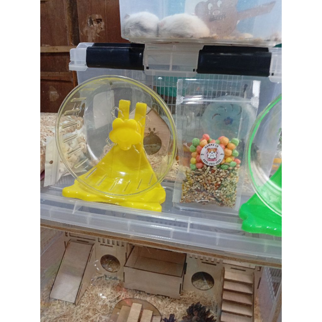 2 pcs Kincir besar Hamster Bonus Snack