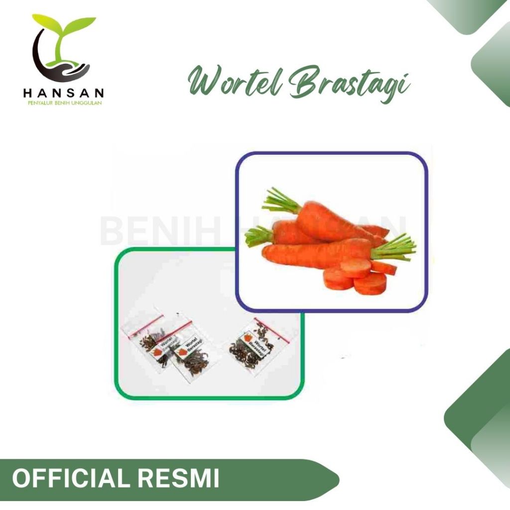 70 Benih Wortel Brastagi Medan Super Bibit Tanaman Sayuran Dataran