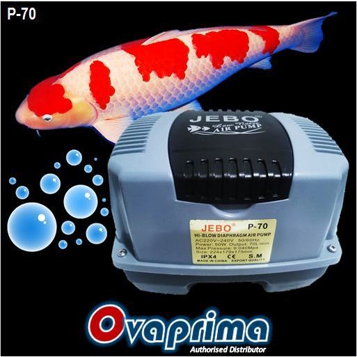 Jebo P-70 Pompa Udara Air Pump Blower Aquarium/Kolam Jebo P70