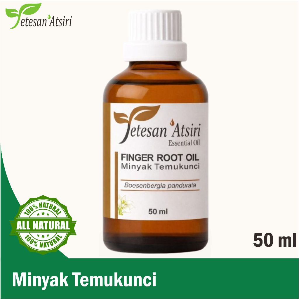 minyak atsiri rempah temukunci murni tanpa campuran fingerroot oil pure essential 10ml 30ml 50ml