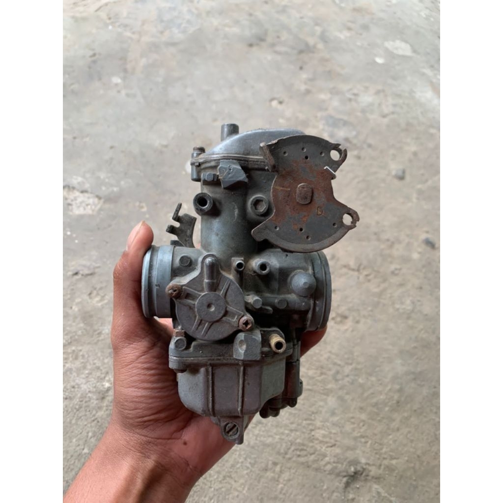 Karbu tiger original copotan