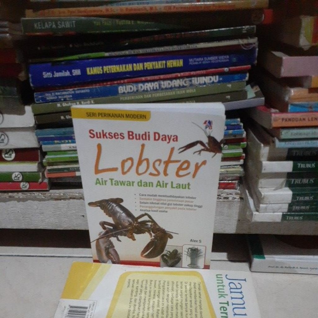Buku sukses budidaya Lobster air tawar dan air laut