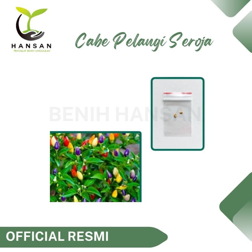 2 Benih Cabe Pelangi Seroja Rainbow Cantik Tanaman Hias Cabai Unik
