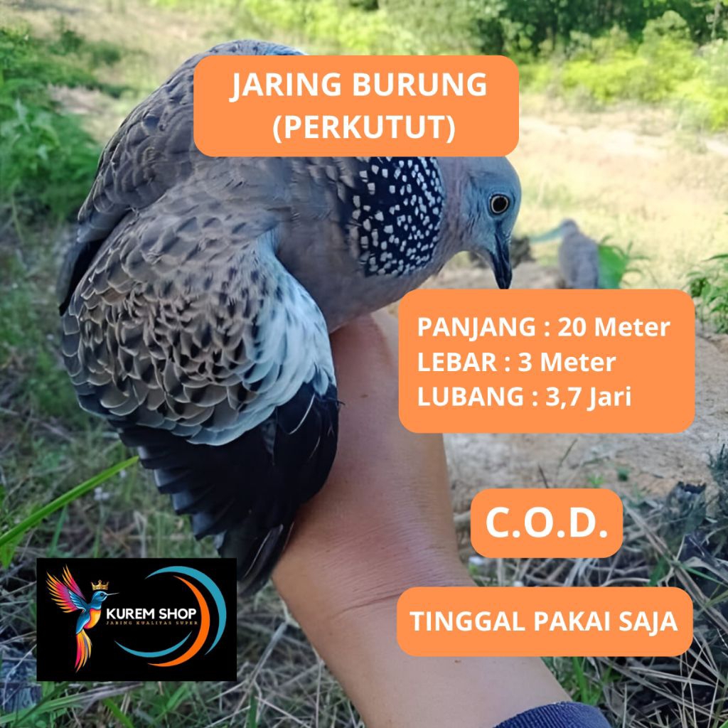 jaring burung tekukur panjang 20 meter lebar 3 meter