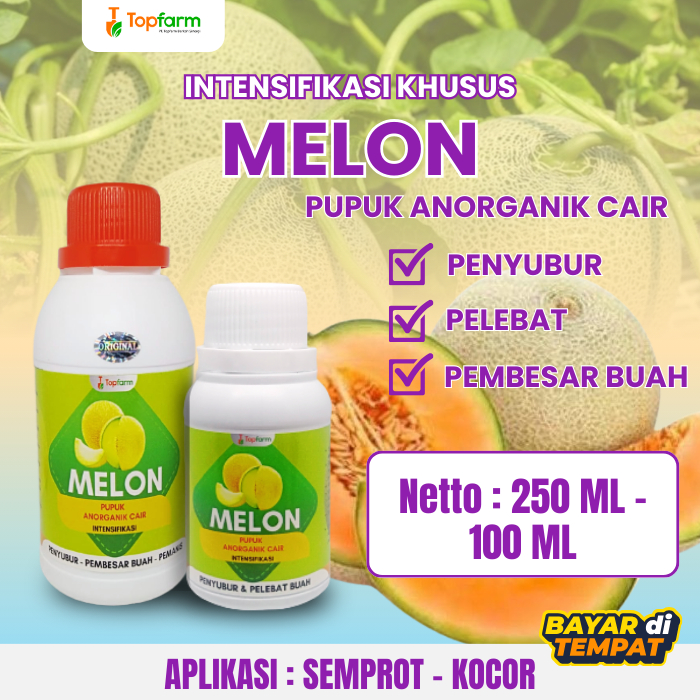 Pupuk Pembesar Melon / Booster Melon / Pupuk Buah Melon Besar / Pupuk Untuk Tanaman Melon / Pupuk Kh