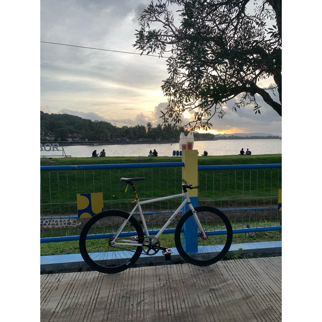 Frameset Fixie