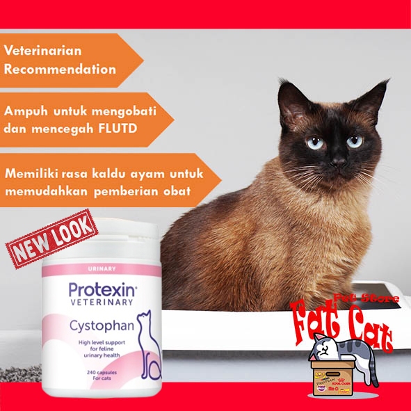 [GROSIR] Cystophan obat susah kencing kucing FLUID obat Urinary'240 capsul