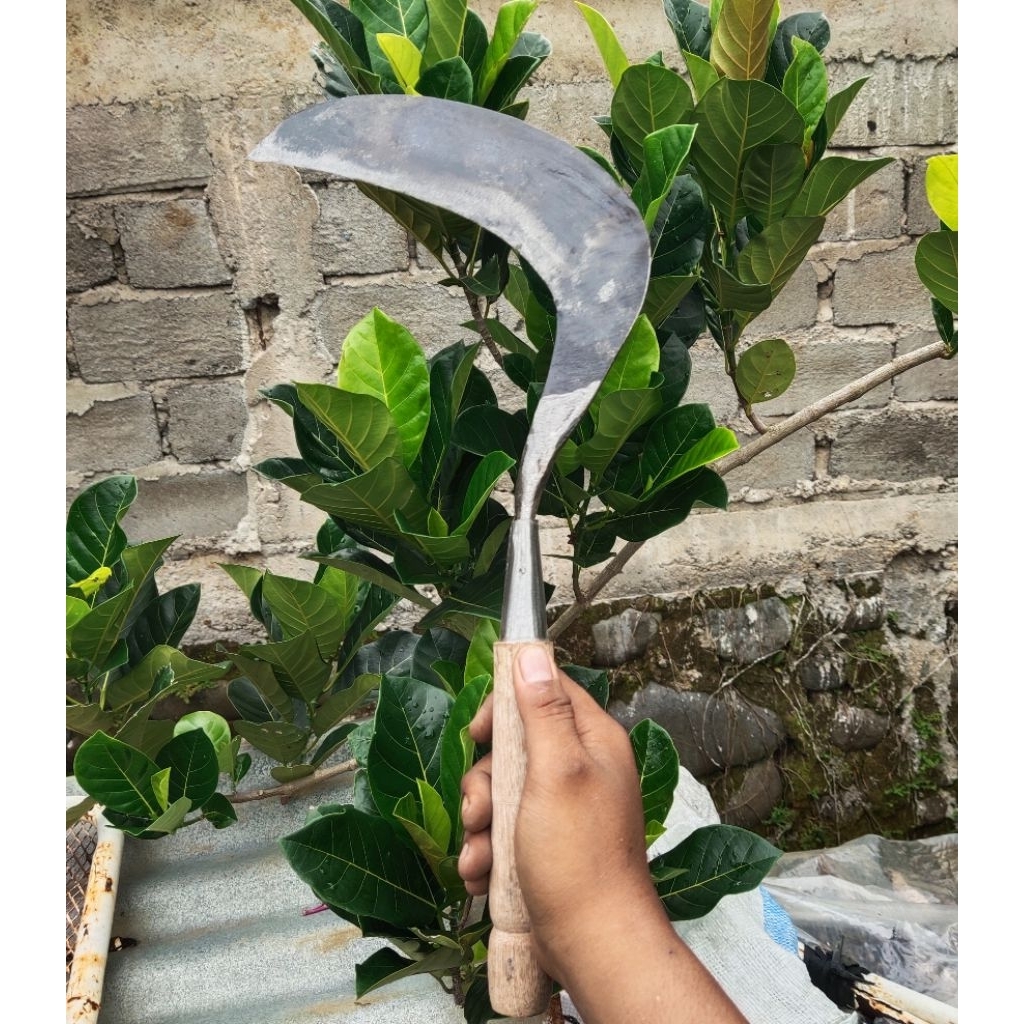 Sabit/Aret Rumput Pembasmi Rumput Gulma