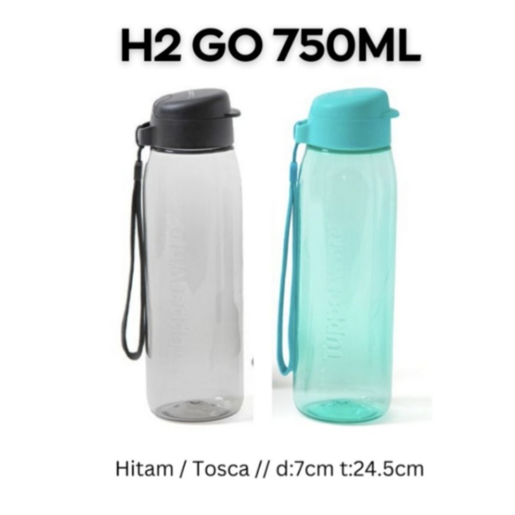 H2 go bottle 750 ml