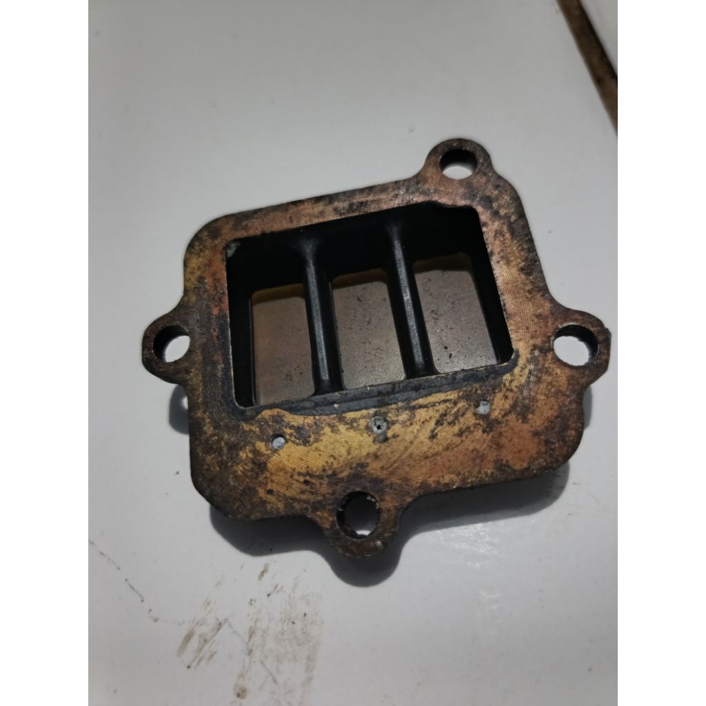 membran original fizr