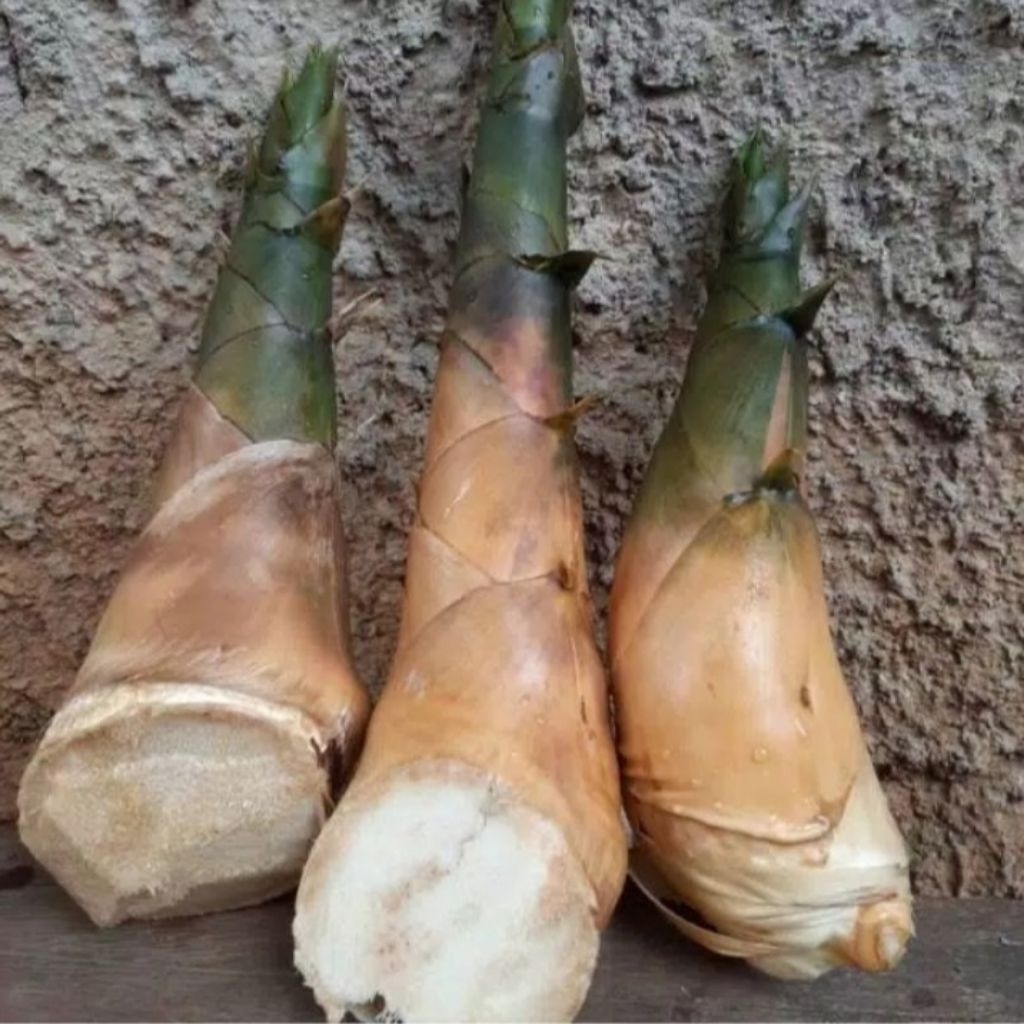 rebung Bambu kuningampel kuning per 1 buah.