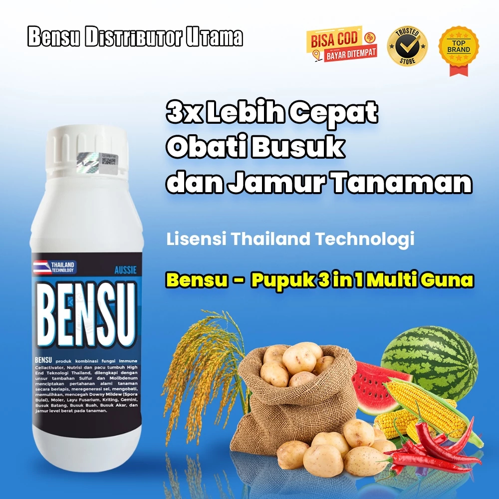 BENSU OFFICAL- Obat Bulai, Layu Fusarium, Busuk | Nutrisi Fungisida Pupuk Padi, Jagung, Nilam, Cabai
