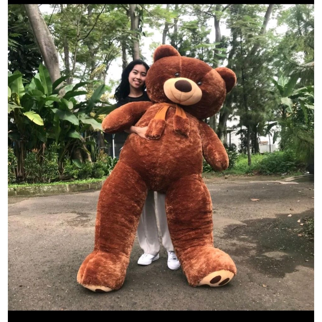 Boneka Jumbo Beruang 1,6 Meter Teddy Bear Rainbow Super Jumbo 160Cm Kado Untuk Pacar