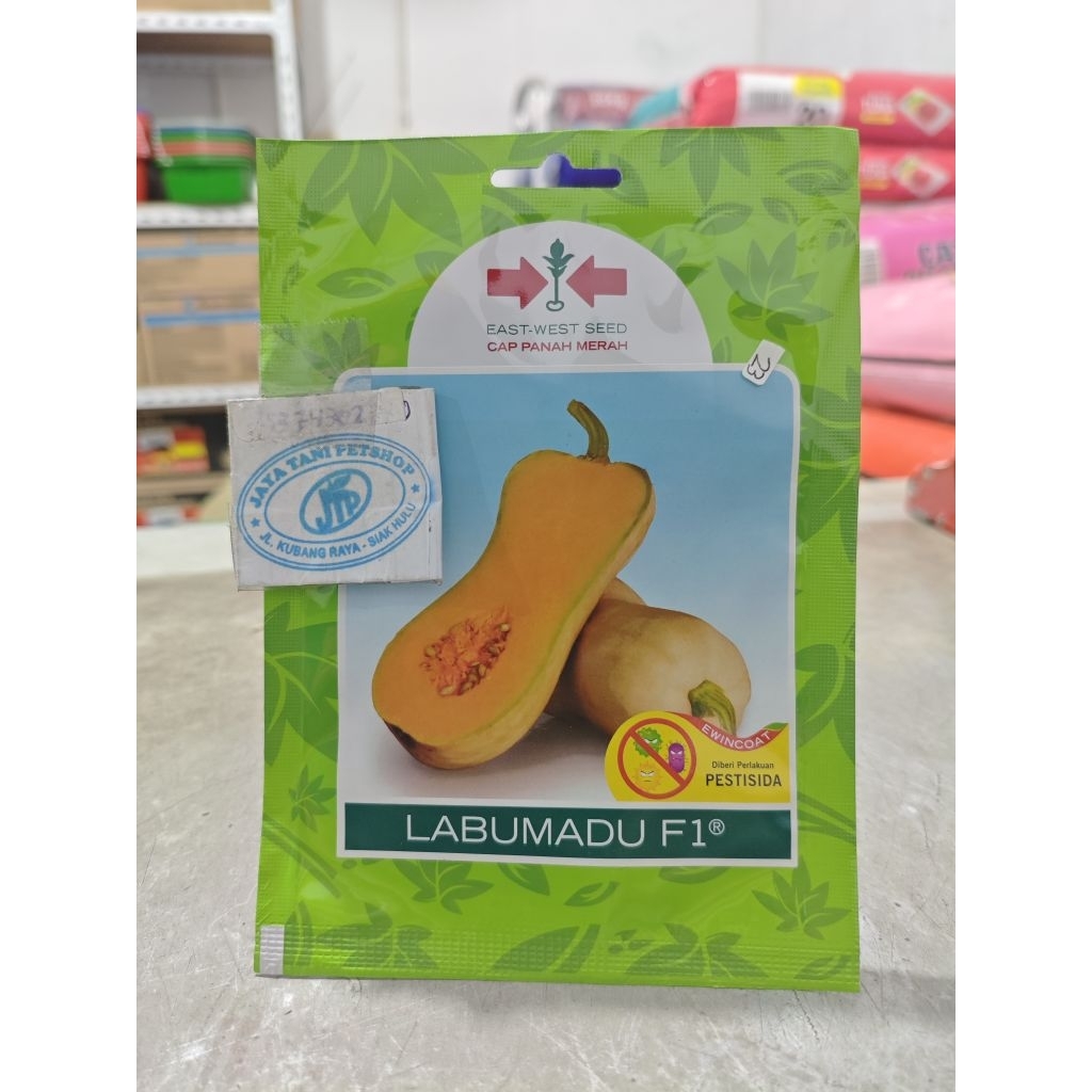 Benih bibit labu madu f1 panah merah