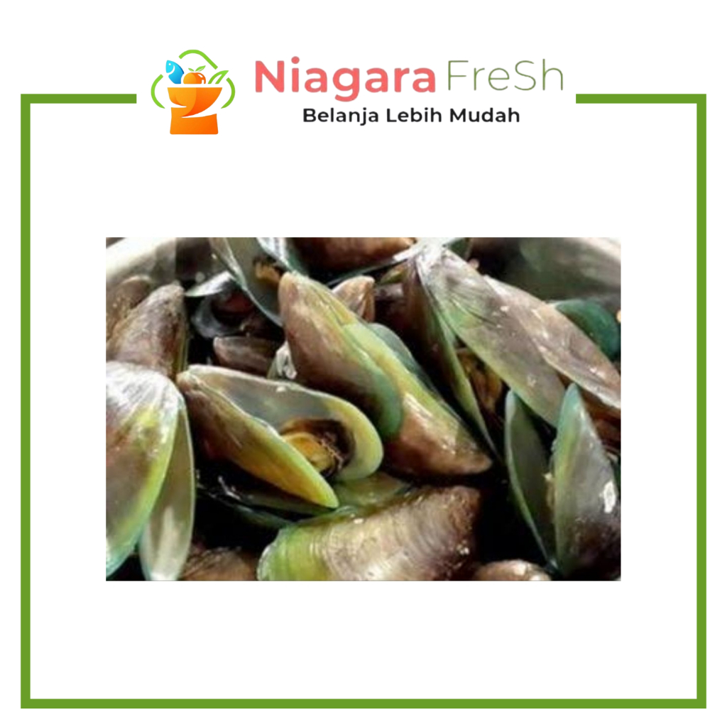 Kerang Hijau Segar Utuh Dengan Kulit - Fresh Seafood