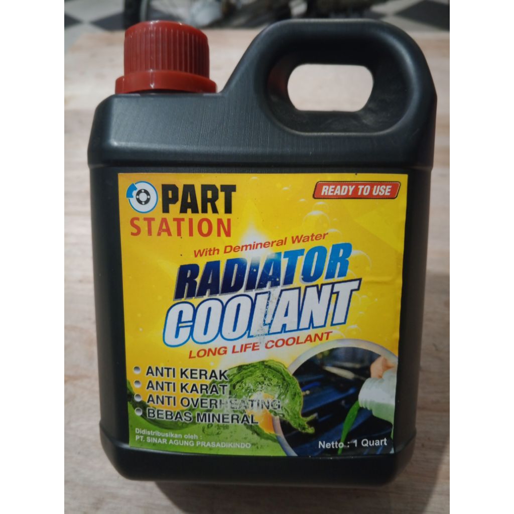 radiator coolant motor