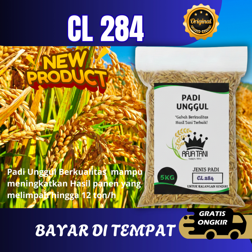 Benih Padi Unggul 5 Kg Original CL 284