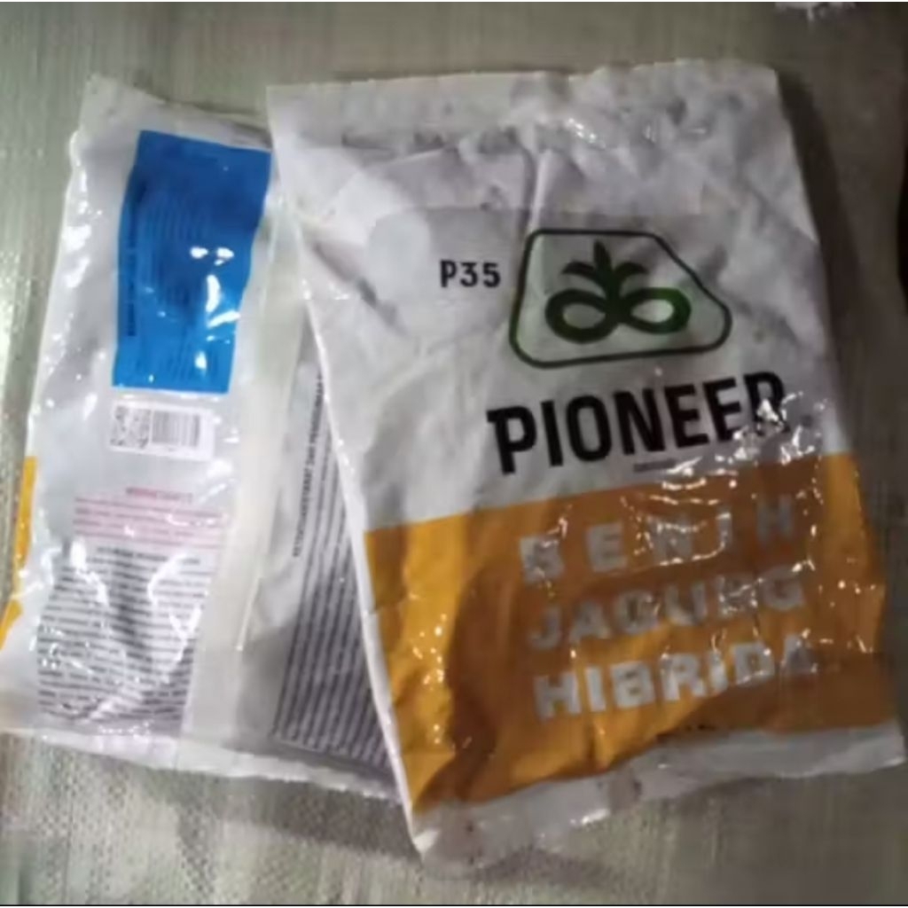 BENIH JAGUNG HIBRIDA PIONEER P35 KEMASAN 1KG ORIGINAL