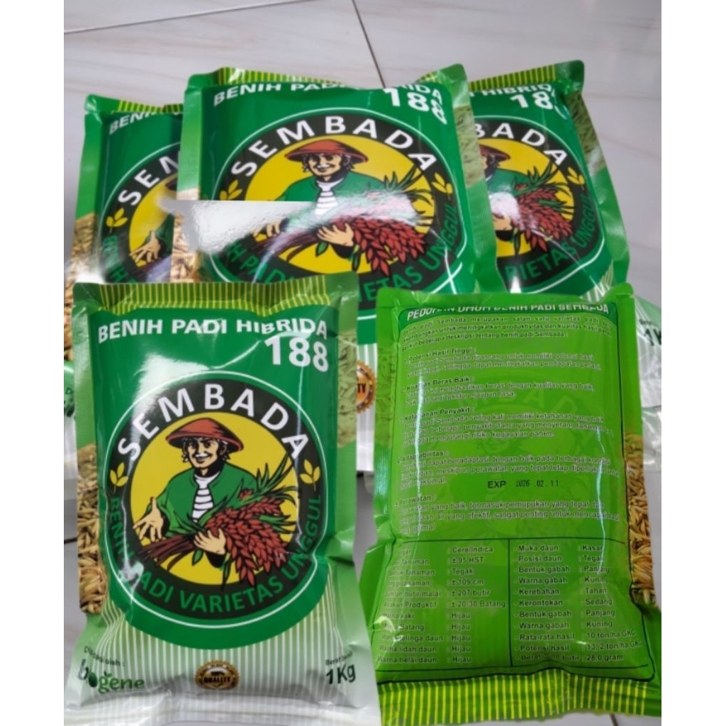 Benih padi terbaru SEMBADA 188 kemasan 5kg