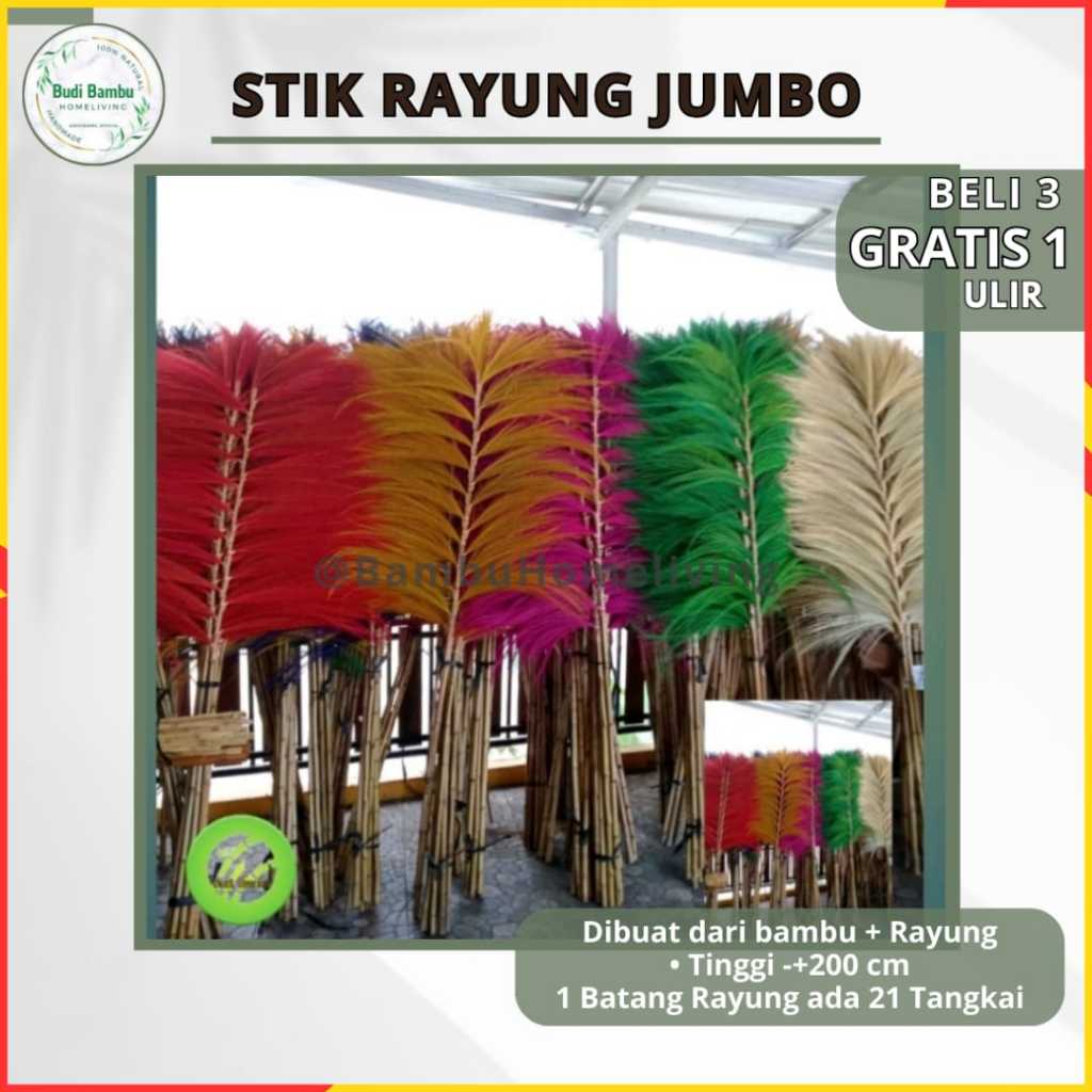 DEKORASI RUMAH BUNGA RAYUNG KERING NATURAL HOMEDECOR RAYUNG MURAH  RAYUNG KERING RUSTIC RAYUNG TANGK