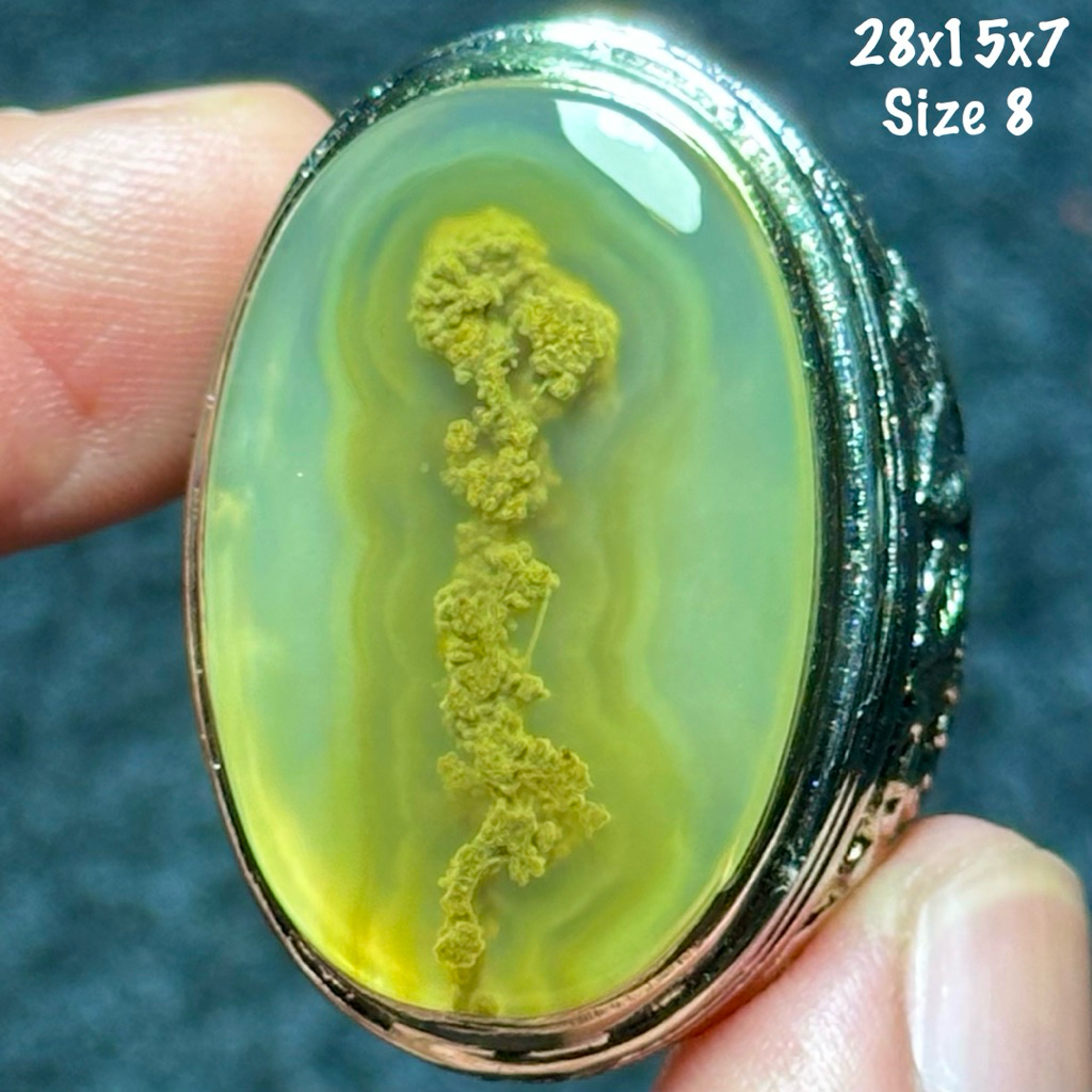Cincin Batu Akik Natural Lumut Baturaja Sodo Lanang Pohon Didalam Batu 3D Aquarium Jumbo Kristal (as