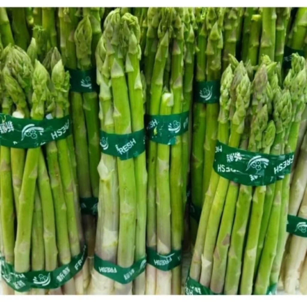 Asparagus Segar | Sayur Asparagus Fresh Per Ikat