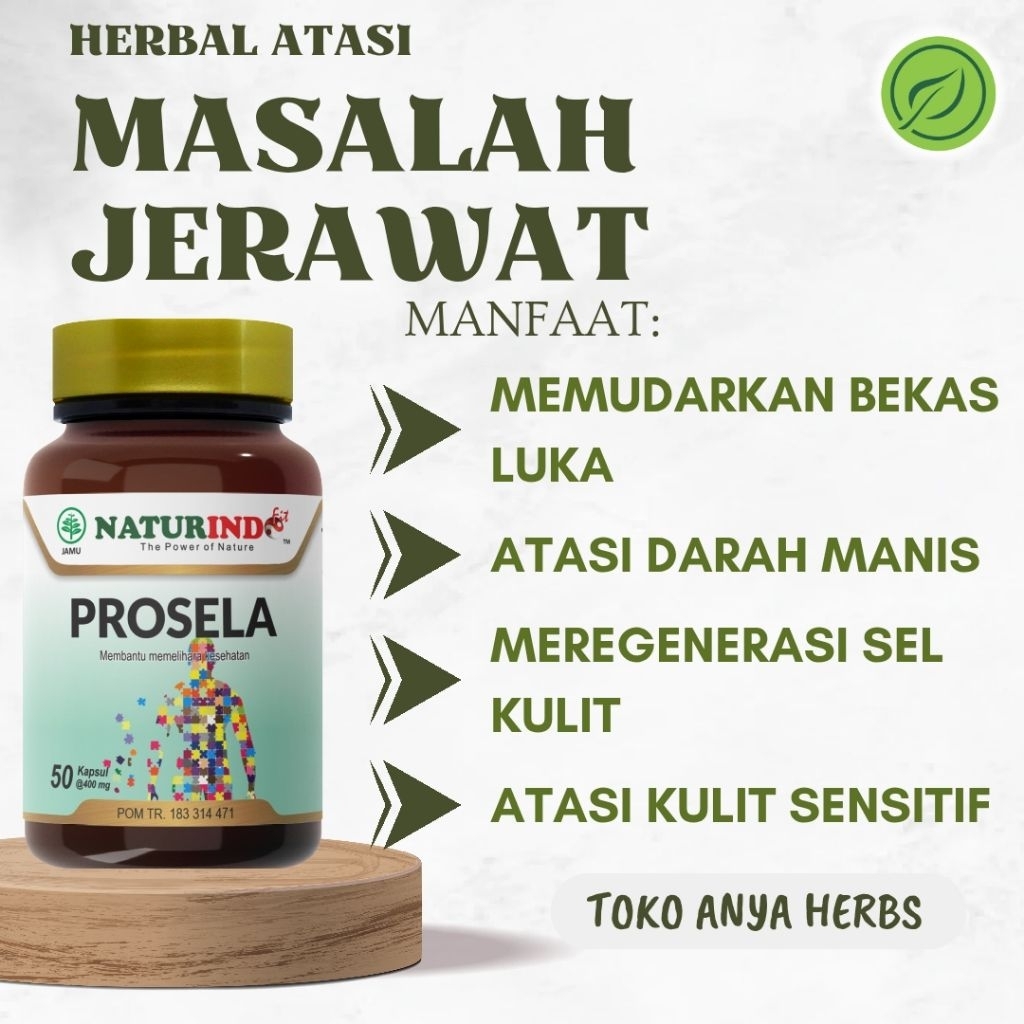 Obat Herbal Penyakit Kulit Bopeng Jerawat Bekas Luka Hitam Koreng Gatal Cacar Naturindo
