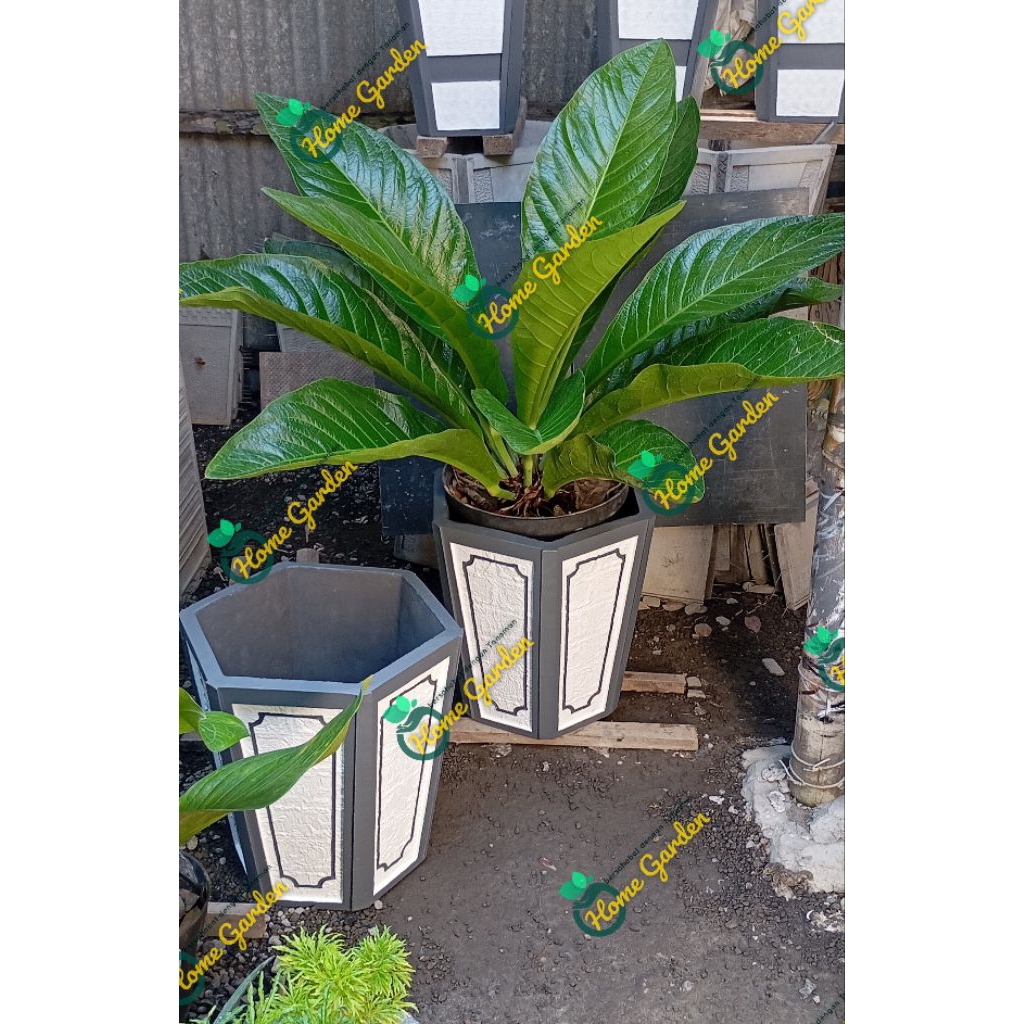 Pot Semen cantik Hexagonal motif batu alam, pot berkualitas seperti pot terraso