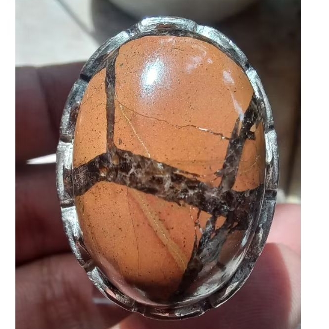 Sisik Naga Enrekang #01