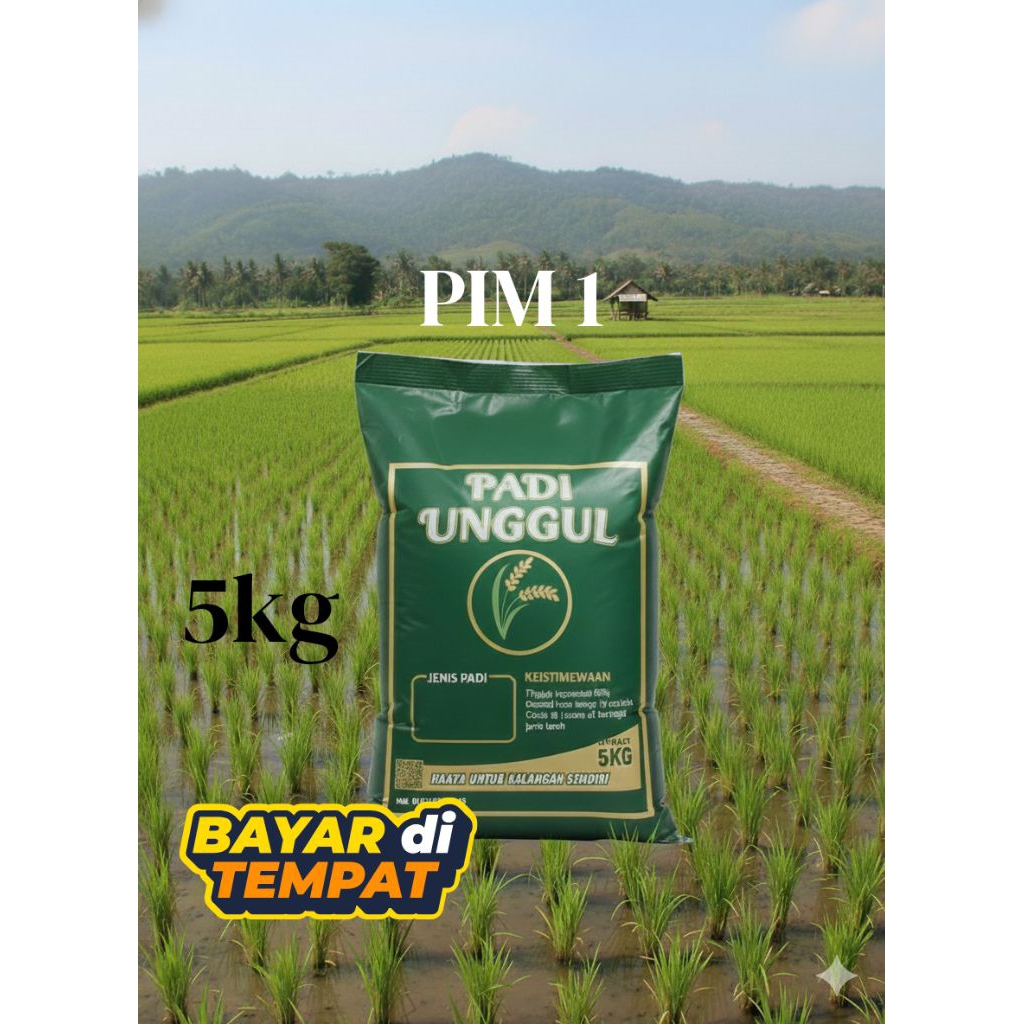 Benih padi unggul PIM 1 kemasan 5 kg kualitas original premium